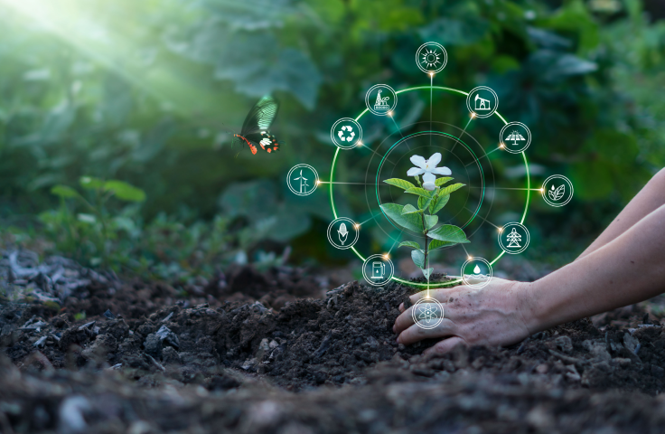 Hands plant a flower in the earth, surrounded by green technology symbols