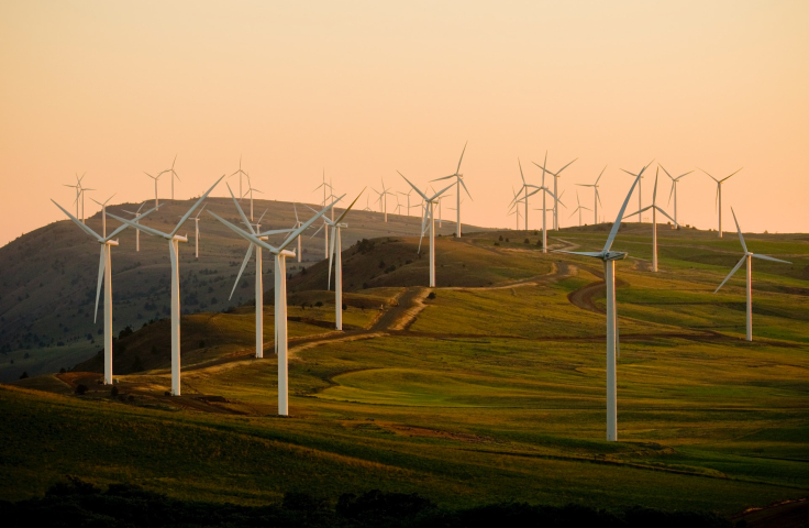 Wind farm at dusk